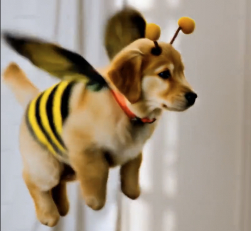 Turn Your Pet into an Adorable Bee